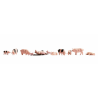 COCHONS