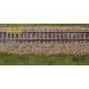 BALLAST