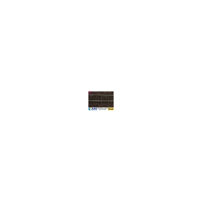 BALLAST