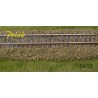 BALLAST