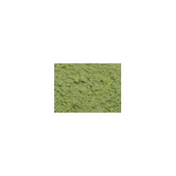 TERRE à décor mousse verte