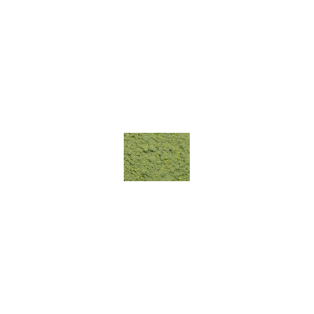 TERRE à décor mousse verte