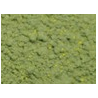 TERRE à décor mousse verte