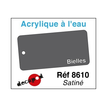 PEINTURE ACRYLIQUE BIELLES satiné