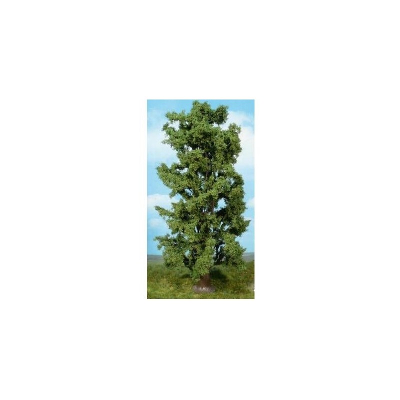ARBRE À FEUILLES