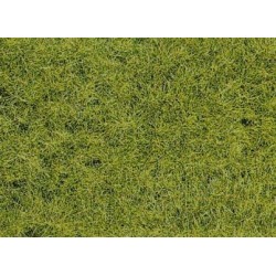 FIBRE HERBE VERT FORÊT