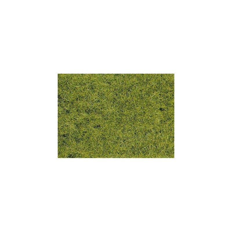 FIBRE HERBE VERT FORÊT