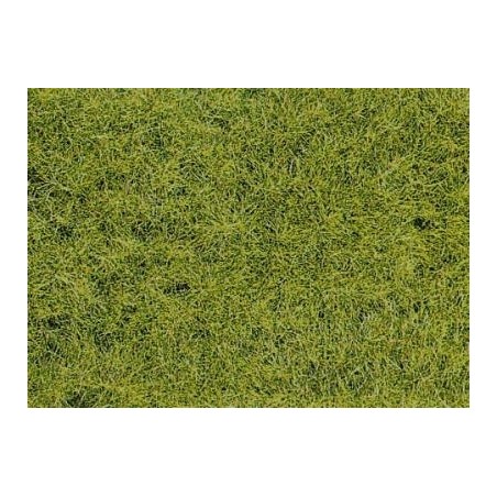FIBRE HERBE VERT FORÊT