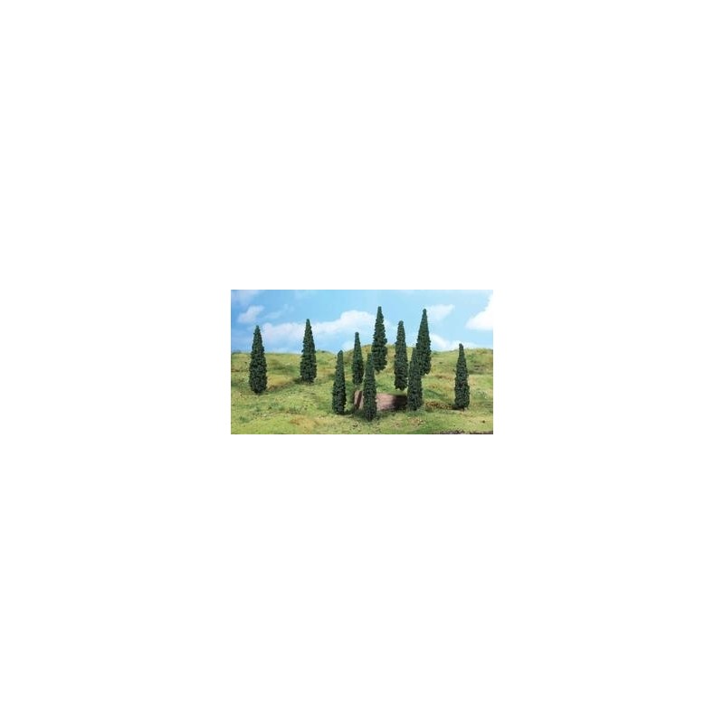 8 CYPRÈS