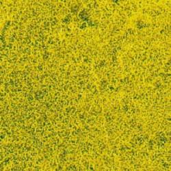 HERBES DE PRAIRIE fleur de...