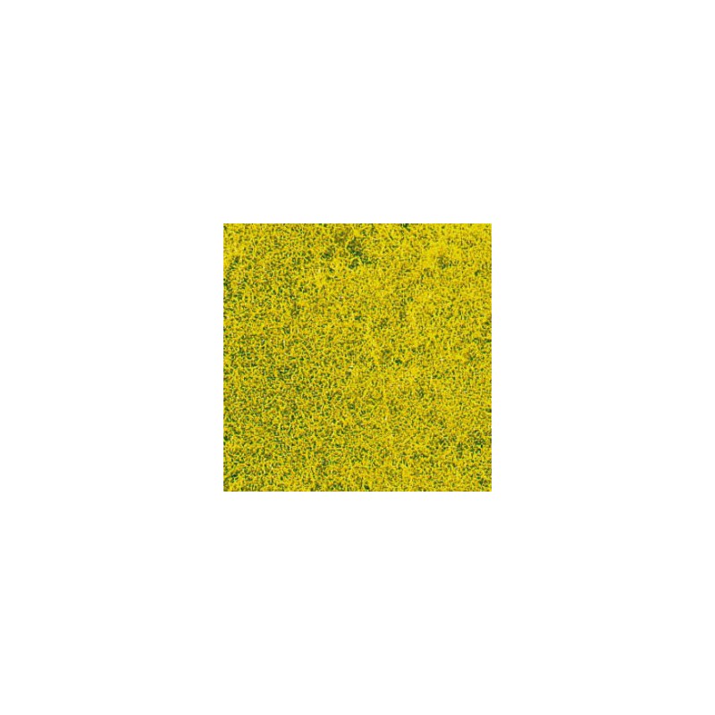 HERBES DE PRAIRIE fleur de colza