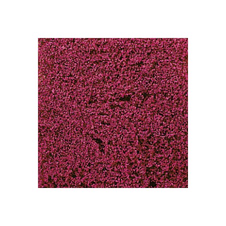 FLEURS LILAS