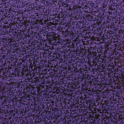 FLEURS VIOLET
