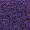 FLEURS VIOLET