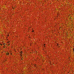 TAPIS FLEURS ROUGES