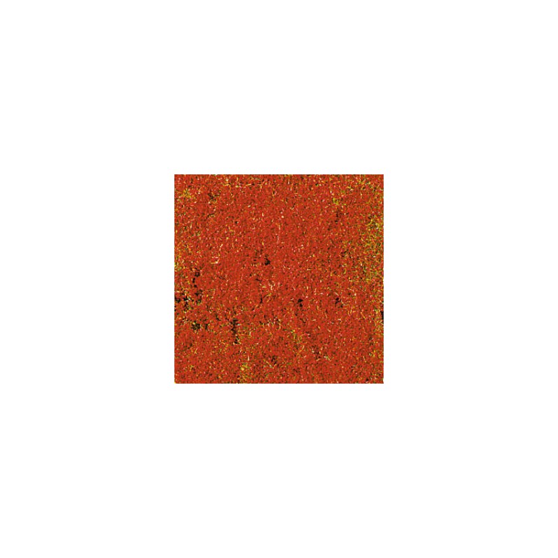 TAPIS FLEURS ROUGES