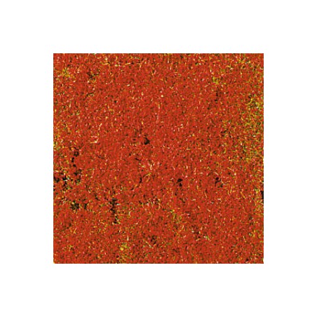 TAPIS FLEURS ROUGES