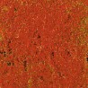 TAPIS FLEURS ROUGES