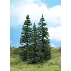 SAPINS
