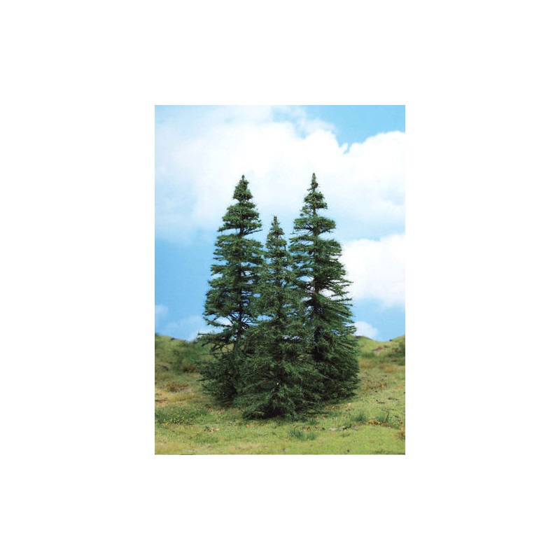 SAPINS
