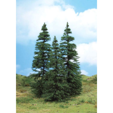 SAPINS