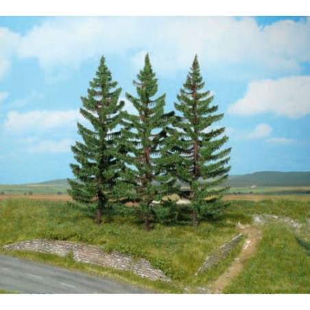 ÉPICEAS DE MONTAGNE