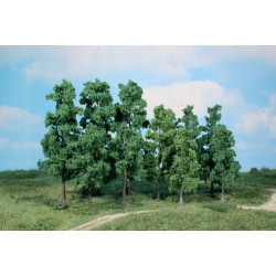 60 ARBRES