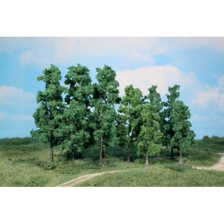 60 ARBRES