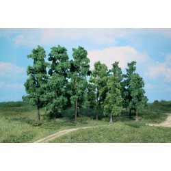 30 Arbres à feuilles