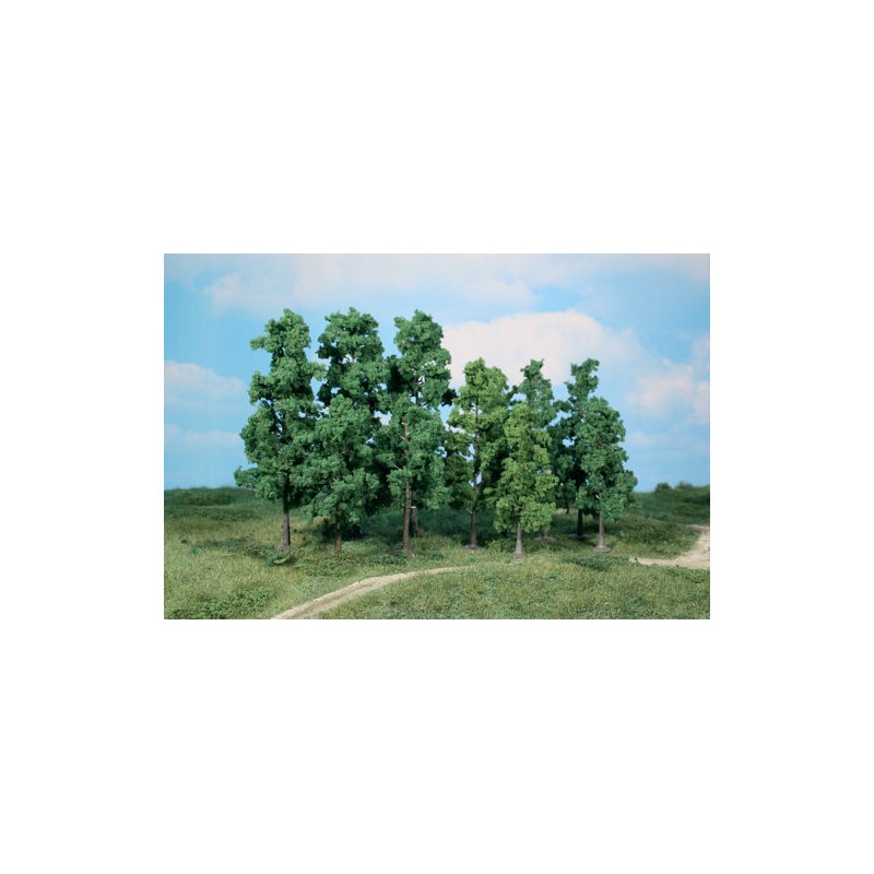 30 Arbres à feuilles