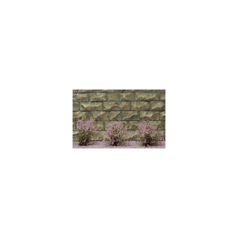 14 ARBUSTES