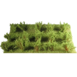 15 ARBUSTES vert savane