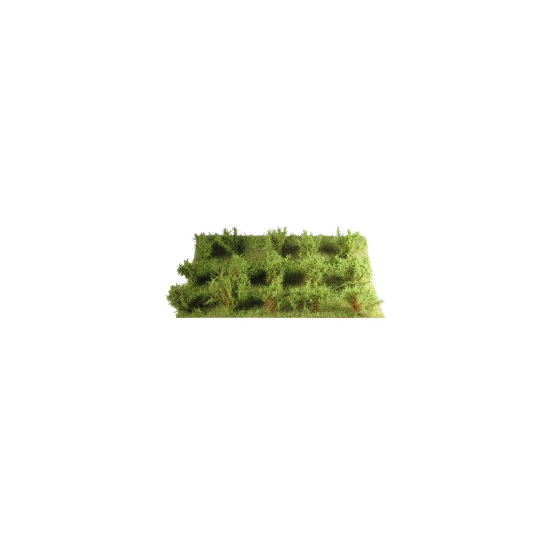 15 ARBUSTES vert savane