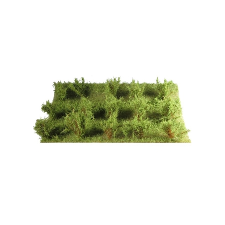 15 ARBUSTES vert savane