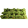 15 ARBUSTES vert savane