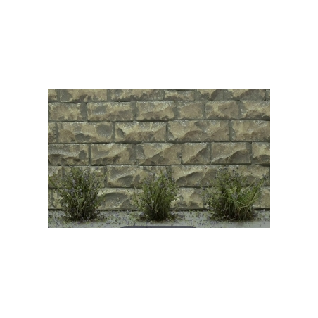14 ARBUSTES fleurs violet