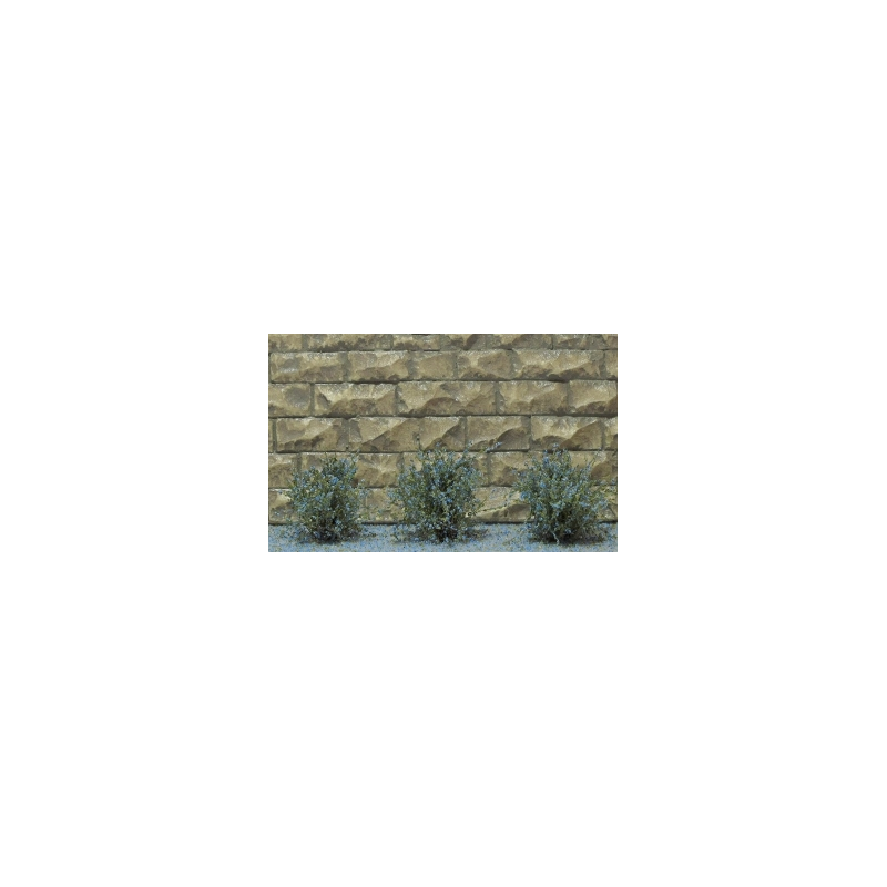 14 ARBUSTES fleurs bleu