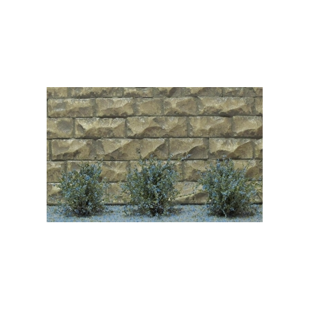 14 ARBUSTES fleurs bleu