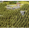 VIGNES
