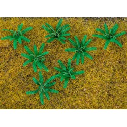 12 PLANTS DE FOUGÈRE