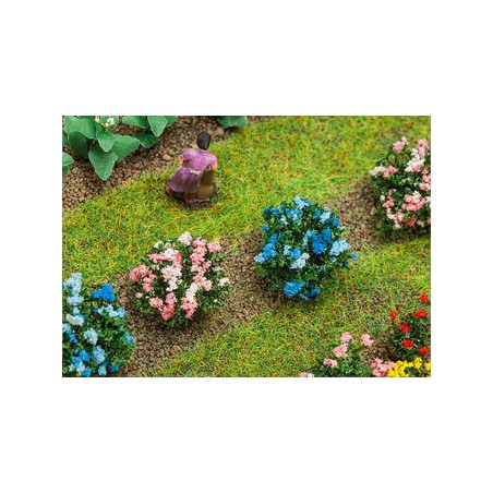 12 HORTENSIAS