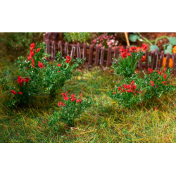 ROSIERS
