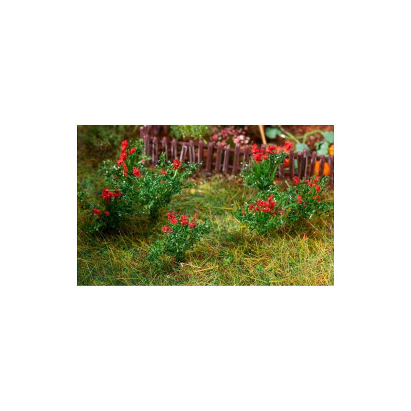 ROSIERS