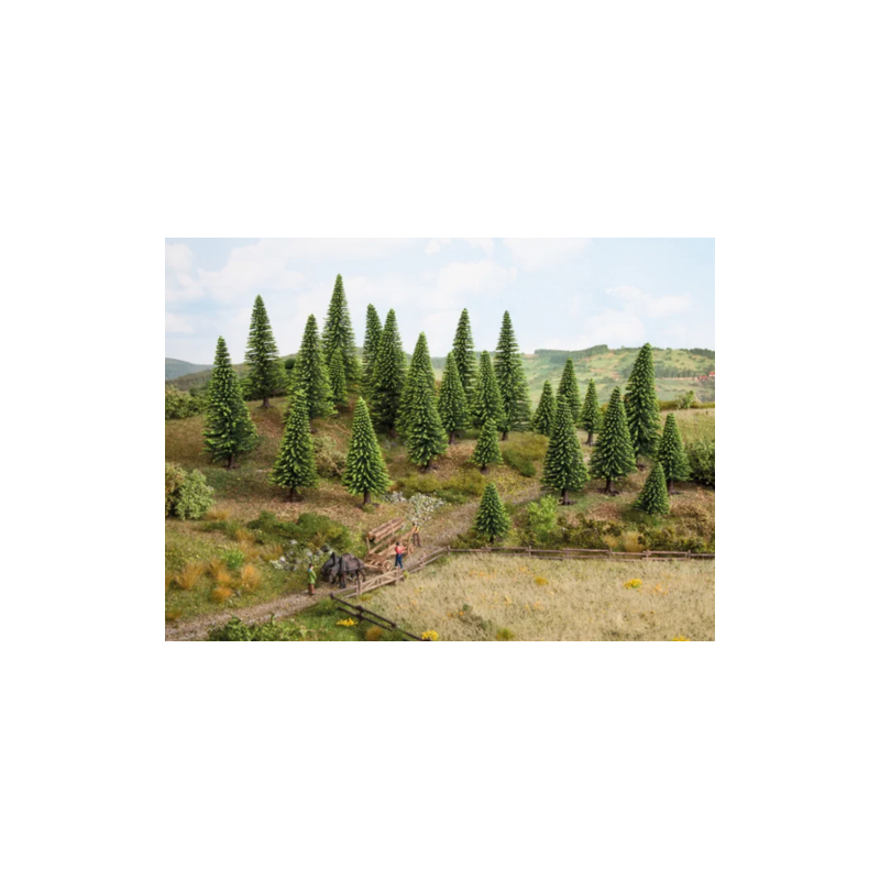 SAPINS