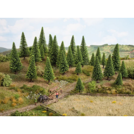 SAPINS
