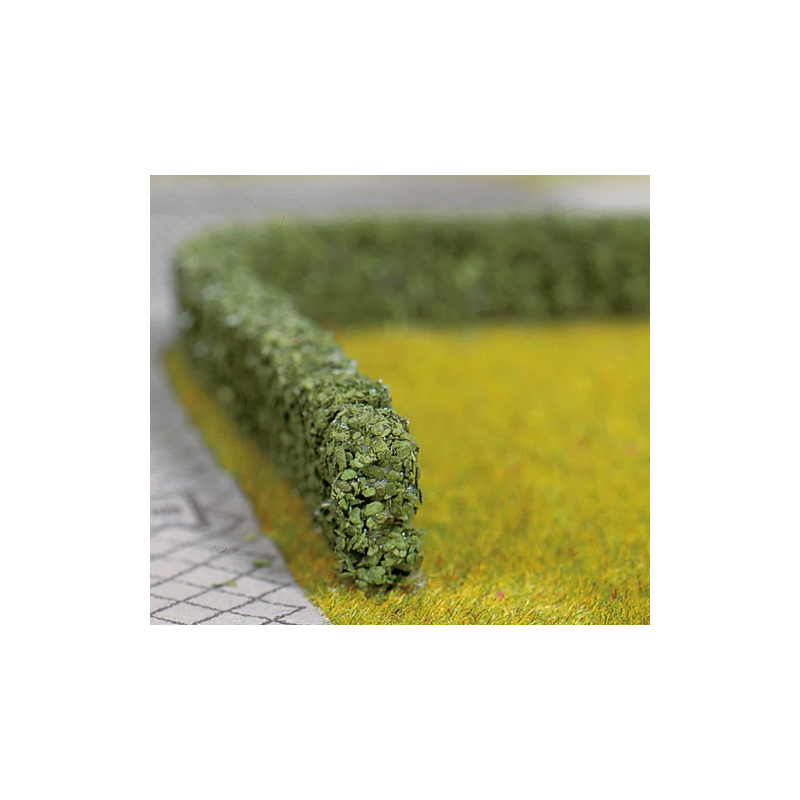 HAIE VERT FONCÉ
