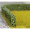 HAIE VERT FONCÉ