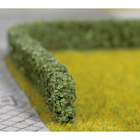 HAIE VERT FONCÉ