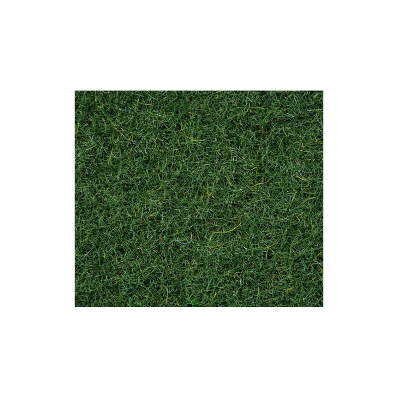 FIBRE HERBE MARÉCAGE
