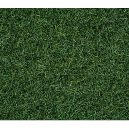 FIBRE HERBE MARÉCAGE